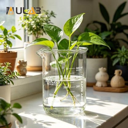 ULAB Scientific Glass Beakers, Vol. 600ml, 3.3 Borosilicate Griffin Low Form with Printed Graduation, Pack of 3, UBG1039 - style: Vol.600ml, Pack of 3
