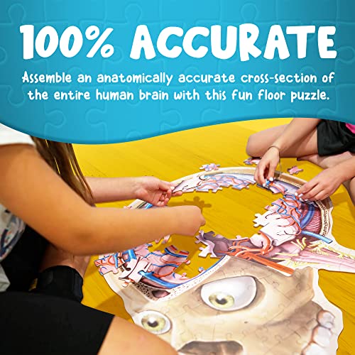 Human Brain Floor Puzzle - Doctor Livingston Jr Anatomy Model - 100 Piece Jigsaw Puzzle - Kids Puzzle and STEM Game About Brain - Medically Accurate Science Toys for Kids, Toddlers, Teens - style: Human Brain Puzzle