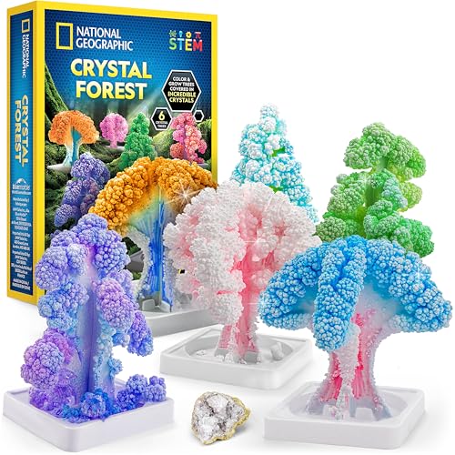National Geographic Craft Kits for Kids - Crystal Growing Kit, Grow 6 Crystal Trees in Just 6 Hours, Educational Craft Kit with Art Supplies, Geode Specimen, STEM Arts & Crafts Kit (Amazon Exclusive) - style: 6-Tree Crystal Kit