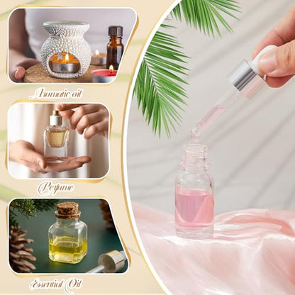 Didaey 100 Pcs Mini Glass Oil Dropper Bottle, 10 ml, Classic Silver - color: Classic Silver, size: 10 ml