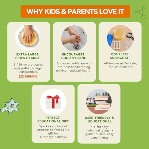 Kids Bacteria Handprint Kit - 2 Giant 150mm Prepoured Agar Petri Dishes - color: Kids Bacteria Handprint Kit