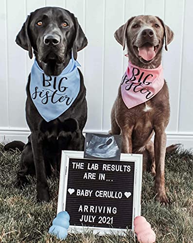 Black Felt Letter Board Baby Announcement Sign with Rustic Wood White Frame - Rustic Farmhouse Letter Board Sign with Stand - 10x10 Felt Board Changeable Message Board with 350 Letter Set - color: Black, size: 10x10 inches