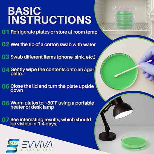 Evviva Sciences Nutrient Agar Petri Dishes Science Project Kit, Pre-Poured Agar Plates for Science Experiments, with Experiment eBook (Green) - color: Green