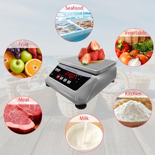UXILAII Professional Waterproof Scale Stainless Steel Scale 110V 30kg 1g - size: 30kg1g(66lb)
