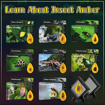 Bigger Amber Dig Kit-8 Artificial Insect Resin, Excavate Unique Insect Specimens, STEM Excavation Bugs Toys Science Kit for Kids,Educational Gifts Party Favors for Girls & Boys Age 6-8-12-14