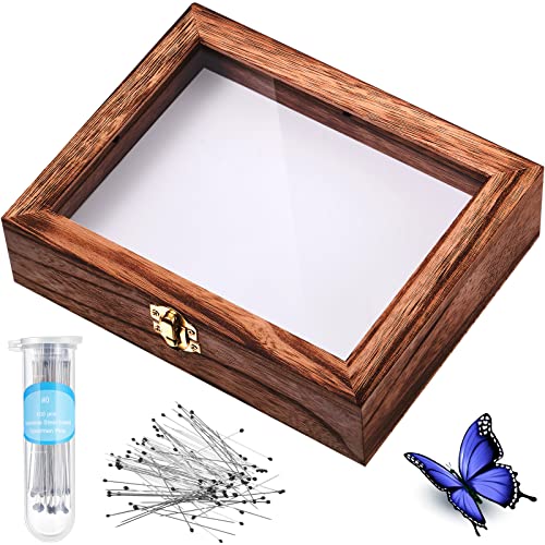 Willbond Insect Display Case Bug Box with Clear Lid, Brown - color: Brown