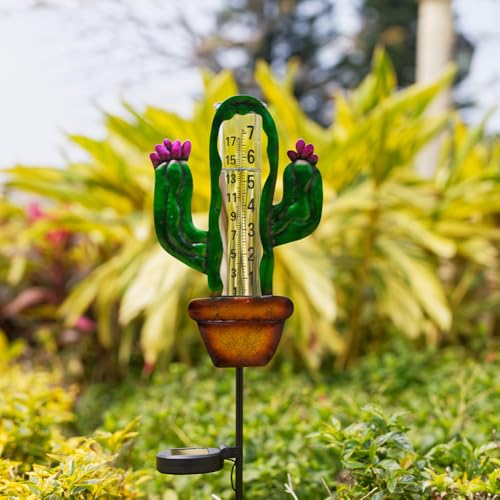 Stargarden Solar Rain Gauge Outdoor, Cactus Solar Powered Rain Gauge - color: Cactus