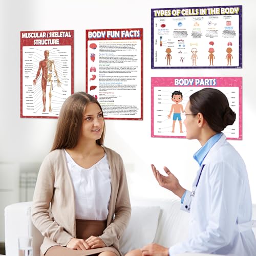 KIDS KING 18 Learning Posters - Biology (11"x17") - color: Biology