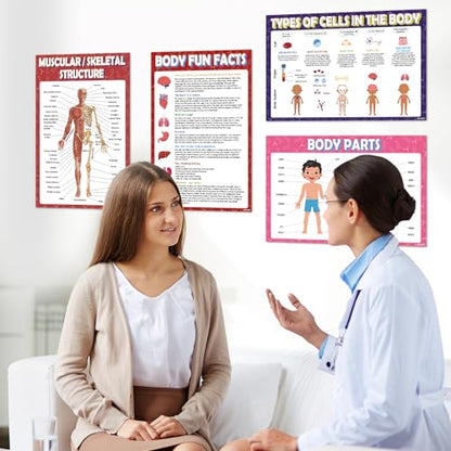 KIDS KING 18 Learning Posters - Biology (11"x17") - color: Biology