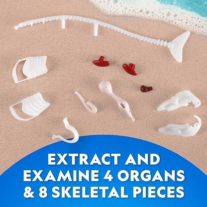 National Geographic Glow-in-the-Dark Shark Dissection Kit for Kids - style: Shark Dissection Kit