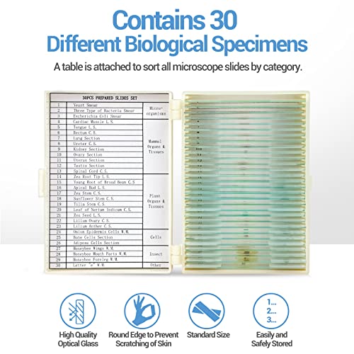30 Microscope Slides with Specimens for Kids, Prepared Microscope Slides for Kids Microbiology, Glass Slides for Microscope, Biology Gifts for Adults Kids - size: 30pcs