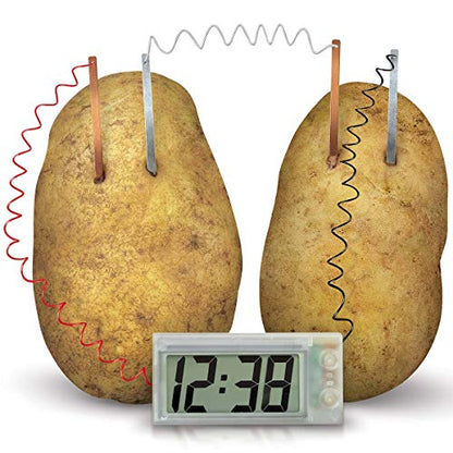 4M Potato Clock DIY Green Science Chemistry Engineering Lab - STEM Toys Educational Gift for Kids & Teens, Girls & Boys, Brown - style: Potato Clock
