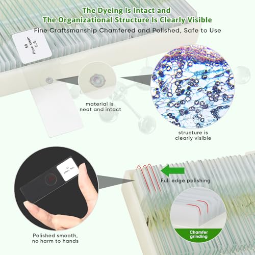 60 Microscope Slides with Specimens,Prepared Microscope Slides for Kids,Glass Slides for Microscope,Prepared Slides for Kids Microscope,Microscope Slide Preparation Kit for Biology Science Classes - size: 60 pcs