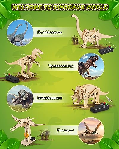 Poraxy Dinosaur Toys, 4 in 1 STEM Kits for Kids Age 8-10, Toys for Ages 8-13, Educational Science Building Projects, 3D Wooden Puzzles Robot Crafts, Gifts for Boys Girls 7 8 9 10 11 12 13 Year Old - size: Dinosaur toys with Paints
