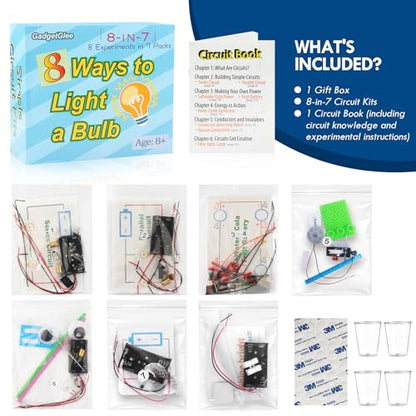 STEM Electric Circuit Kit, Electricity Science Project Light Bulb Experiments for Kids Teens, Electrical Engineering Kits Age 8-12 12-14, Fruit Energy Projects Circuits Experiment