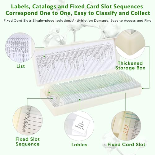 60 Microscope Slides with Specimens,Prepared Microscope Slides for Kids,Glass Slides for Microscope,Prepared Slides for Kids Microscope,Microscope Slide Preparation Kit for Biology Science Classes - size: 60 pcs