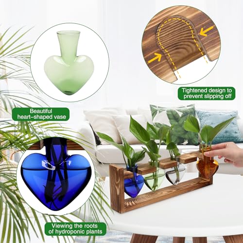 Plant Propagation Stations Heart Plant Terrarium Kit - color: Color01