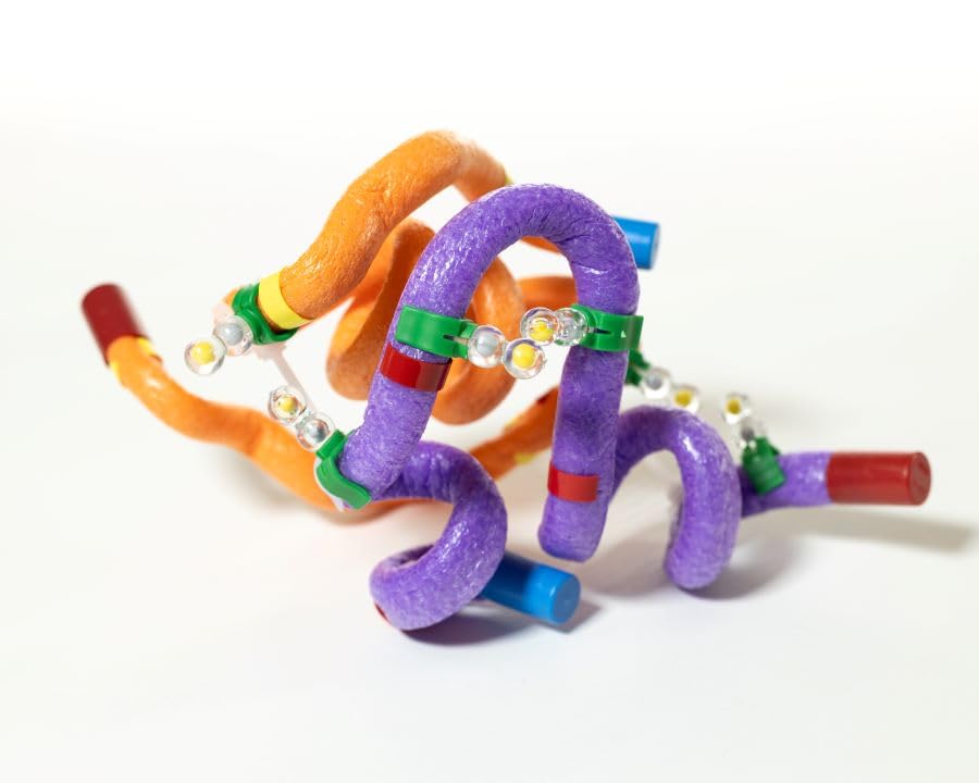 Insulin MRNA to Protein Kit© 6-Group Set