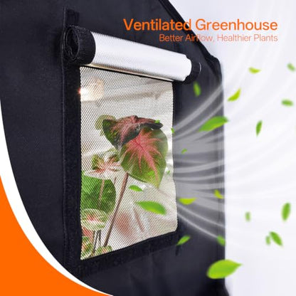 Bstrip Small Greenhouse, GM3 Indoor Greenhouse with Grow Light, Auto Timer