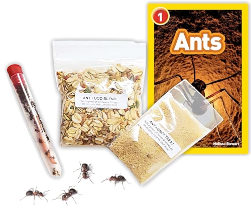 25 Live Ants for Ant Farms (1 Tube), Book, Honey Treat, Premium Ant Food - style: 25 Live Ants +Honey+Food+Book