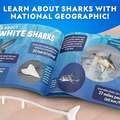 National Geographic Glow-in-the-Dark Shark Dissection Kit for Kids - style: Shark Dissection Kit