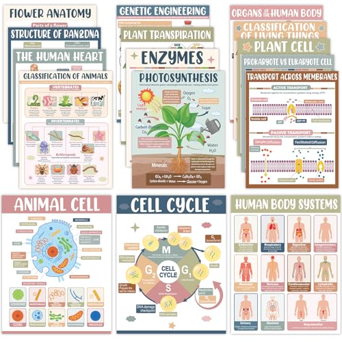 Yiaoyinnz 16Pcs Warm Boho Biology Science Posters for Classroom - color: warm