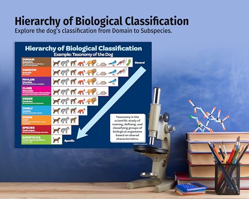 ZOCO – Taxonomy of the Dog Poster – Biological Classification Chart, Laminated 17 × 22 – Science Classroom Poster for Elementary, Middle & High School - size: 22"L x 17"W