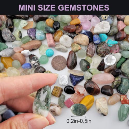 1200Pcs+ (5lb) Gemstones and Crystals Set,50Kinds+ Bulk Rocks and Minerals