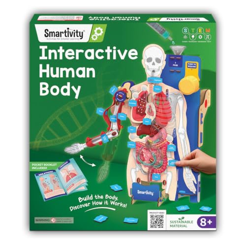 Smartivity DIY Interactive Human Body Model for Kids 8-14 Years