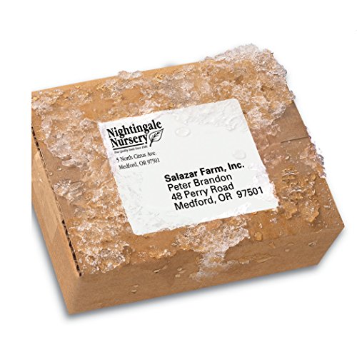 Avery Durable Waterproof Shipping Labels with Sure Feed Technology, 3-1/3" x 4", White, Laser Compatible, 300 Blank Labels Total, Great for Mailing, Branding, and More (5524) (Pack of 5) - size: 3 1/3" x 4" (Pack of 5), style: 300 labels