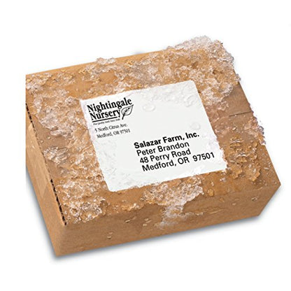 Avery Durable Waterproof Shipping Labels with Sure Feed Technology, 3-1/3" x 4", White, Laser Compatible, 300 Blank Labels Total, Great for Mailing, Branding, and More (5524) (Pack of 5) - size: 3 1/3" x 4" (Pack of 5), style: 300 labels