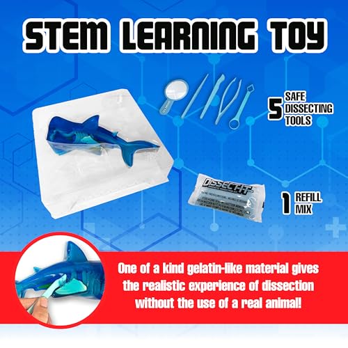 Dissect-It, Shark Dissection Kit, STEM Toys for Kids, Ages 6+