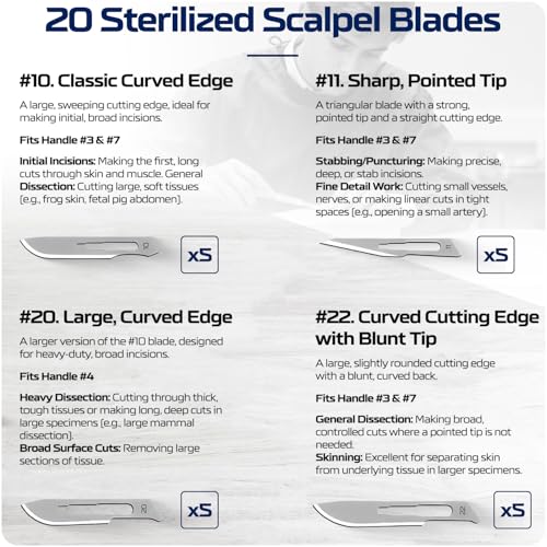 46-Piece Surgical-Grade Dissection Kit, College and University