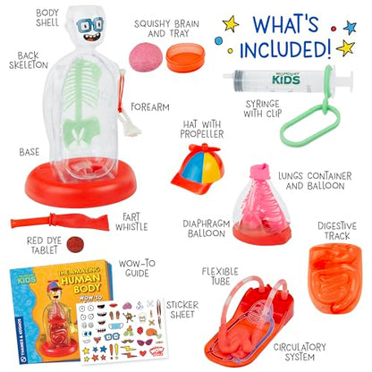 Wow in The World The Amazing Human Body Kit by Thames & Kosmos, Interactive Mechanical Anatomy Model w/Pumping Heart, Lungs, Digestive Tract, Glow-in-The-Dark Bones, Brain & More, Science for Ages 4+