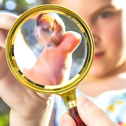 20X HD Magnifying Glass (Full Size-90mm) for Desktop, Collectors, Youth and The Elderly. Free Bonus, (3) Credit Card Sized Magnifiers for Shopping or dosing Medicine ($3.96 Value).