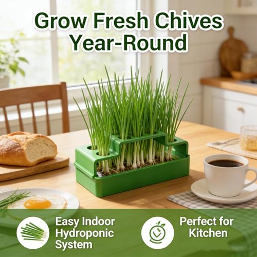 Indoor Hydroponic Scallion Germination Trays Green Onion Growing Pot Soil-Free Vegetable Seedling Tray, 15.5 * 7 * 6cm