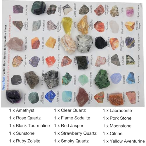 Rock & Mineral Collection Kit for Adults and Kids Natural Rocks for Tumbling Polishing Gemstone Raw Crystals Rough Stones for Wicca & Reiki (15Pcs)