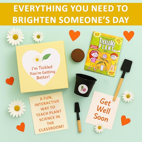 TickleMe Plant Get Well Soon Kit (1 Pack) – Grow A Tickle Me Plant that Reacts to Touch – Leaves Fold Up When You Tickle Them – Full Grow Kit of Sensitive Plants Seeds for Kids to Grow Indoors - style: Get Well Gift