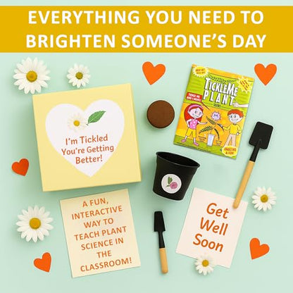 TickleMe Plant Get Well Soon Kit (1 Pack) – Grow A Tickle Me Plant that Reacts to Touch – Leaves Fold Up When You Tickle Them – Full Grow Kit of Sensitive Plants Seeds for Kids to Grow Indoors - style: Get Well Gift