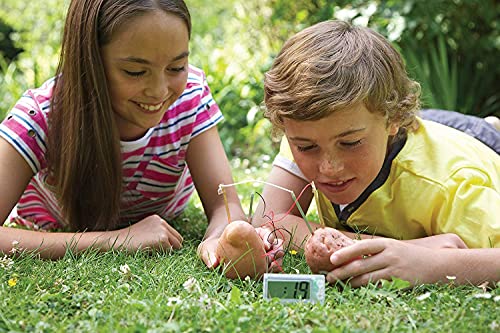 4M Potato Clock DIY Green Science Chemistry Engineering Lab - STEM Toys Educational Gift for Kids & Teens, Girls & Boys, Brown - style: Potato Clock