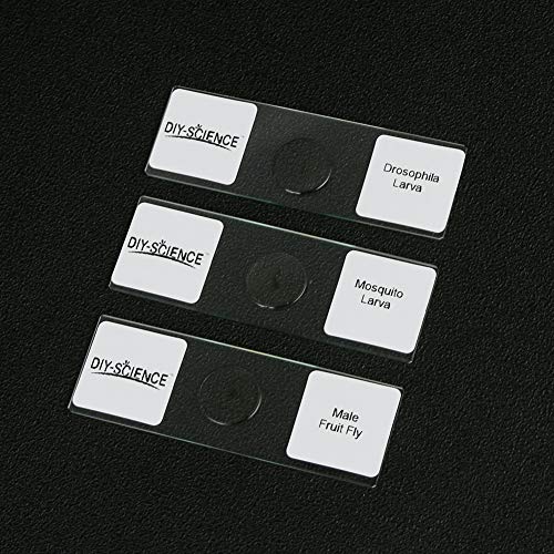 Prepared Whole Insects Microscope Slides Set, 10pcs Specimens for Kids Students Biology Class, Educational Gift (Whole Insects) - style: Whole Insects