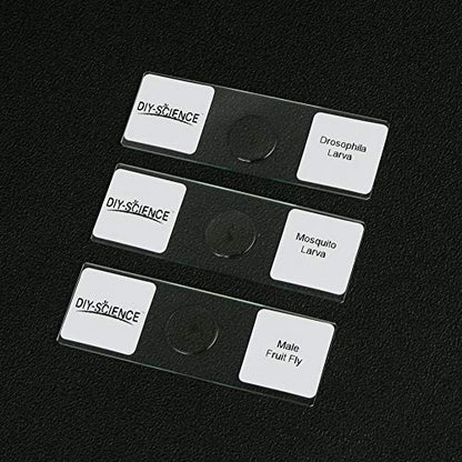 Prepared Whole Insects Microscope Slides Set, 10pcs Specimens for Kids Students Biology Class, Educational Gift (Whole Insects) - style: Whole Insects