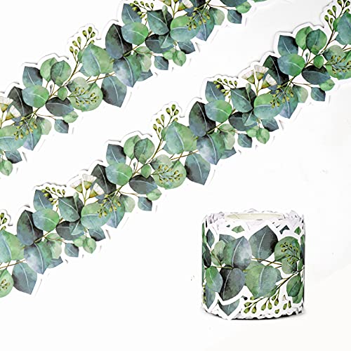 49Ft Eucalyptus Green Bulletin Board Borders Classroom Border Trim - size: 1 Roll Eucalyptus