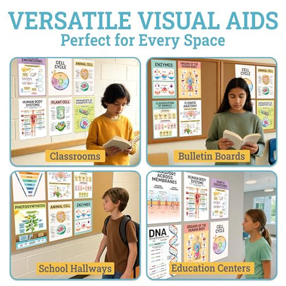 Decorably 16 Biology Posters High School, Elementary Decorations