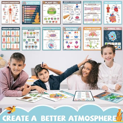 Yiaoyinnz 16Pcs Boho Biology Science Posters for Classroom - color: boho