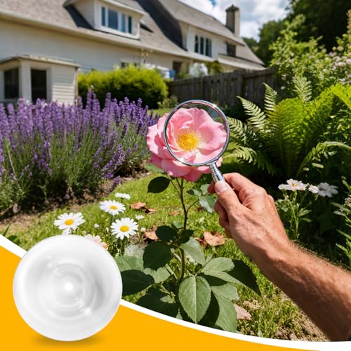 PATIKIL Acrylic Fresnel Lens, 200mm Dia, 100mm Focal Length, Transparent - size: 200mm Dia, Focal Length 100mm