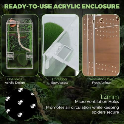 Jumping Spider Terrarium 4" x 4" x 8" DIY Habitat Kit - Forest - color: Green A