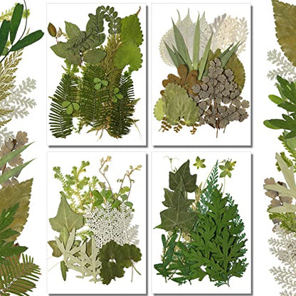 Timtin 84 Pcs Dried Pressed Leaves Flowers for Resin, Vivid - color: Vivid Style
