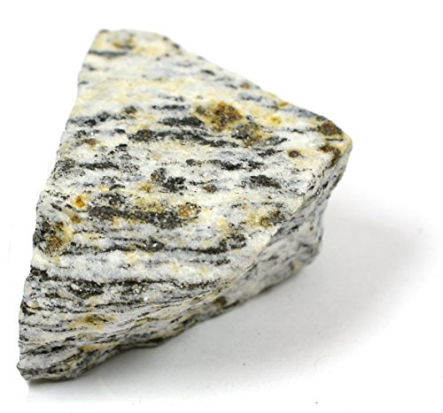 EISCO Biotite Gneiss Specimen (Metamorphic Rock), Approx. 1" (3cm)