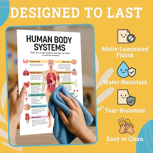 Decorably 16 Biology Posters High School, Elementary Decorations